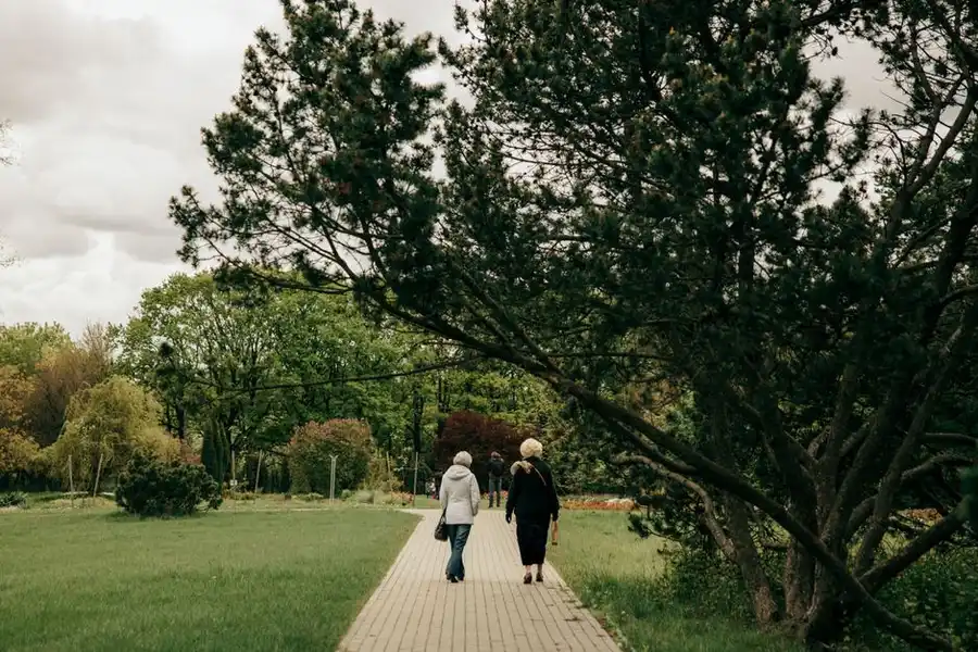 A person moving easily along a firm, smooth garden path