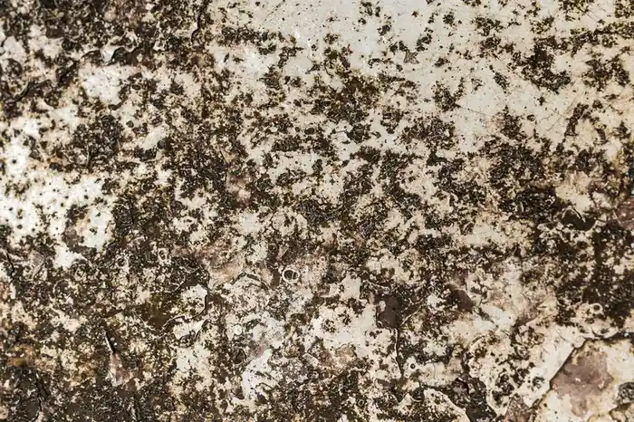 An oil stain on a driveway surface