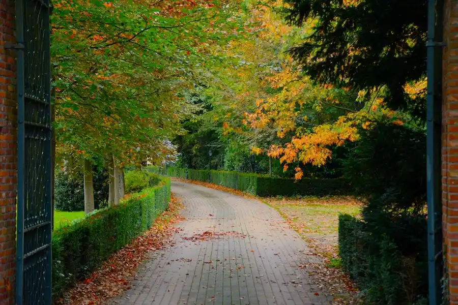Autumn leaves on a garden path - prompt removal prevents leaf tannin staining on resin surfaces