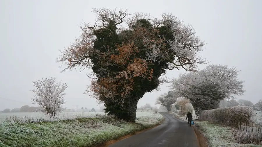 A frosty morning in a British garden, the main winter constraint for laying resin
