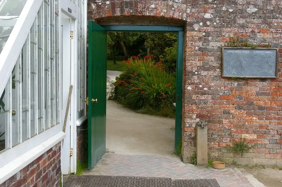 A contrasting border and edging framing a driveway