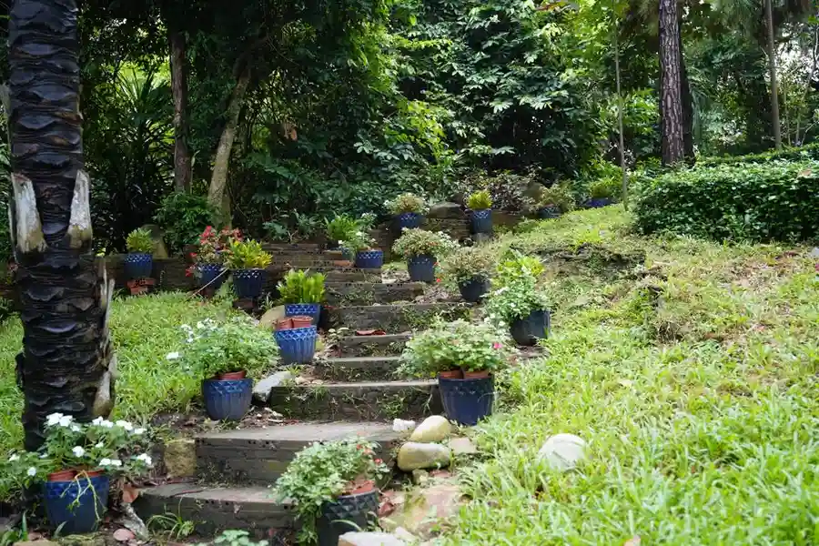 Garden landscaping with steps and levels - level changes and ground conditions both feed into the final patio price