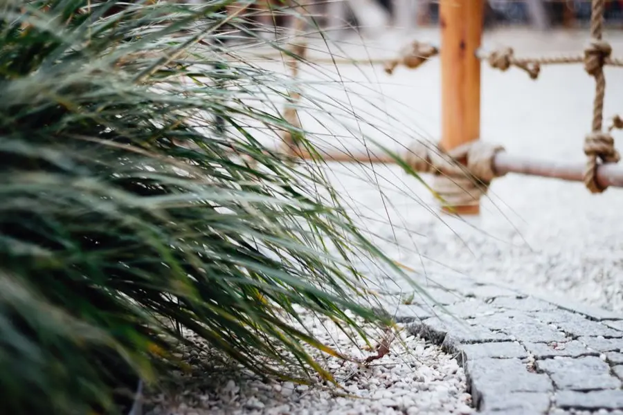 Weeds growing through a gravel path, a common gravel maintenance problem