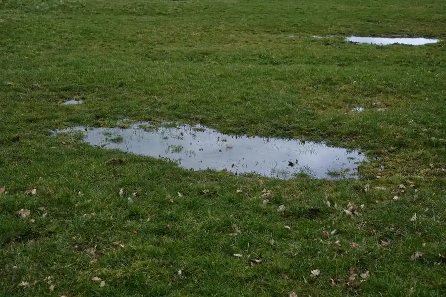 Water running off an impermeable driveway surface