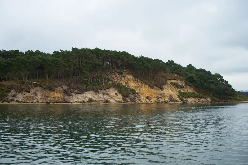 Brownsea Island