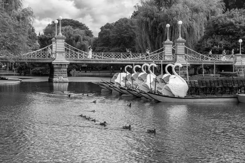 Poole Park